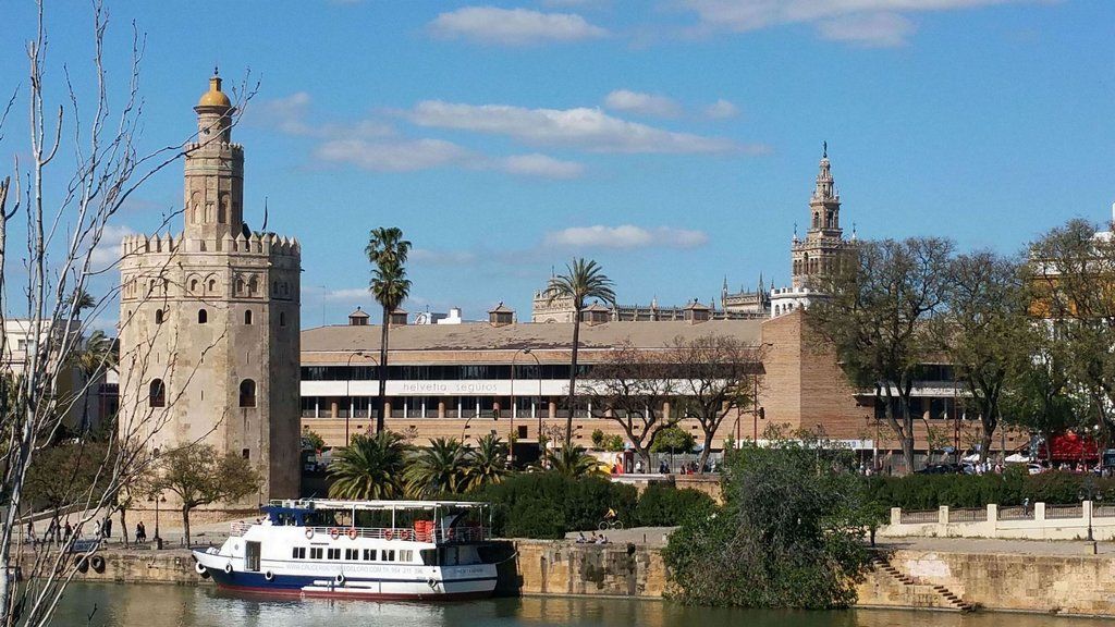 Hotel Monte Carmelo 4*